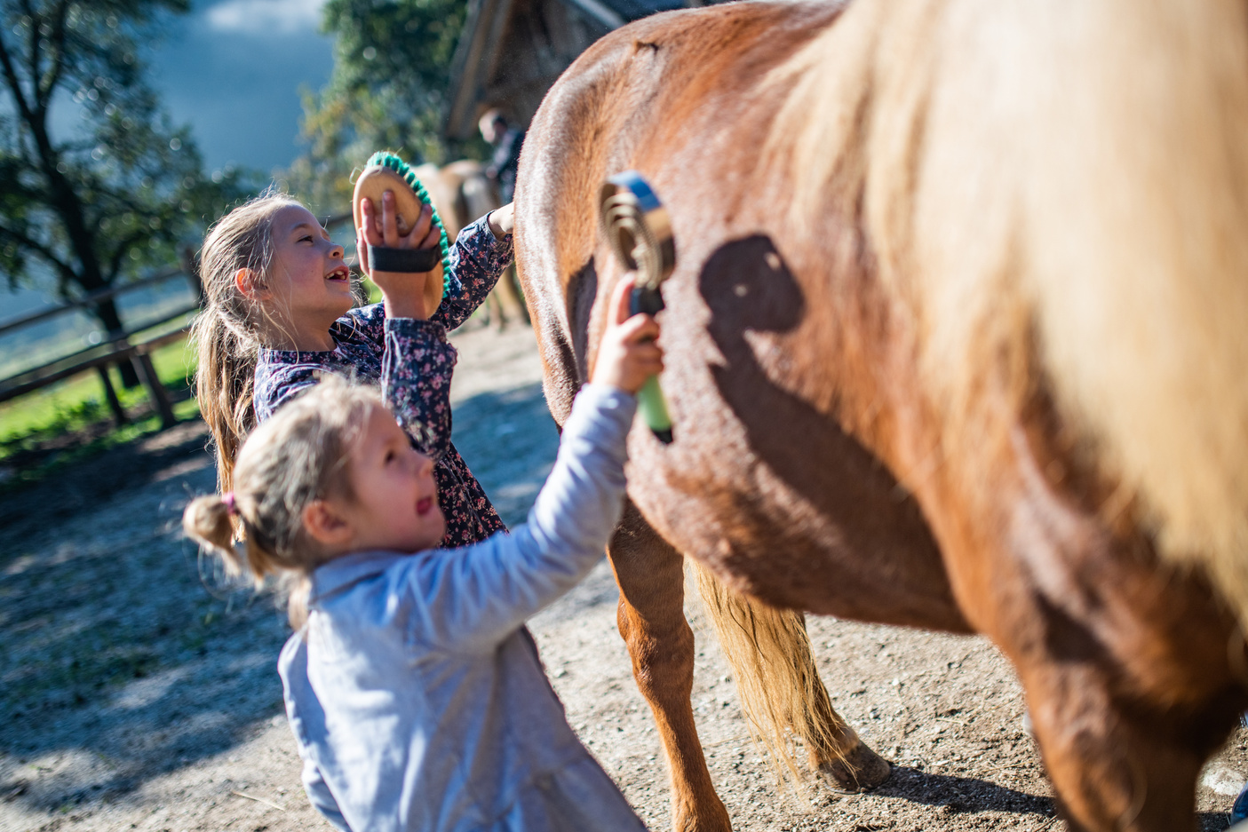 Girls grooming horse